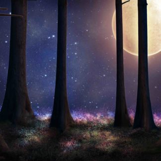 FUN05 Moon Sky